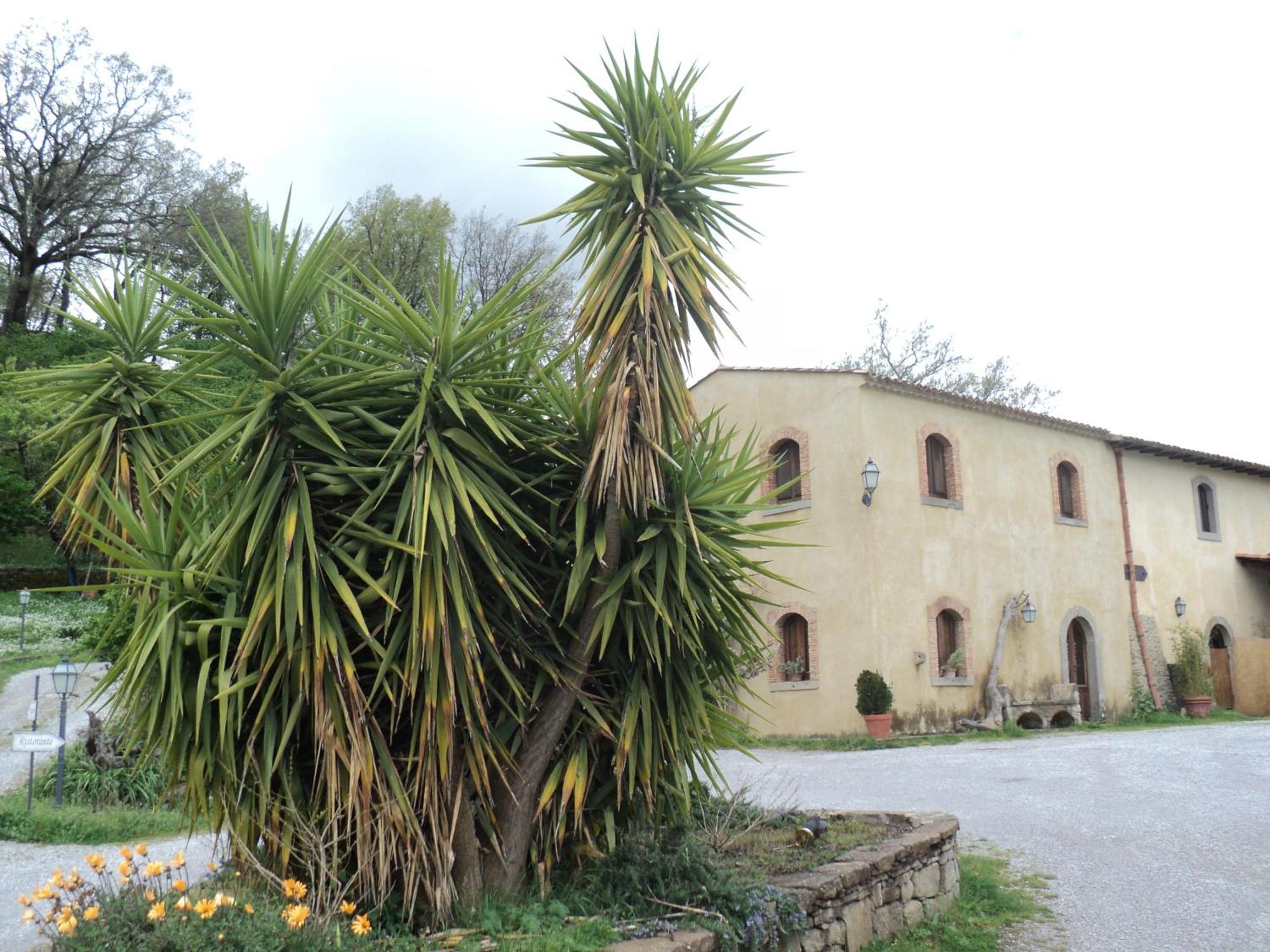 Agriturismo Il Daino Villa San Piero Patti Екстериор снимка